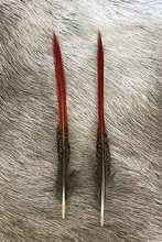 Load image into Gallery viewer, Red Tip Golden Pheasant Feathers
