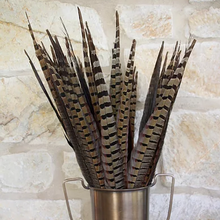 Load image into Gallery viewer, Ringneck Pheasant Tails - Natural
