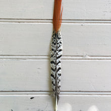 Load image into Gallery viewer, Orange Tip Amhurst Pheasant Feather
