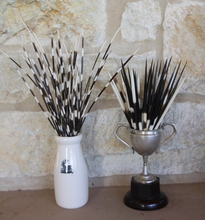 Load image into Gallery viewer, Porcupine Quills
