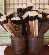 Load image into Gallery viewer, Wild Turkey Feather

