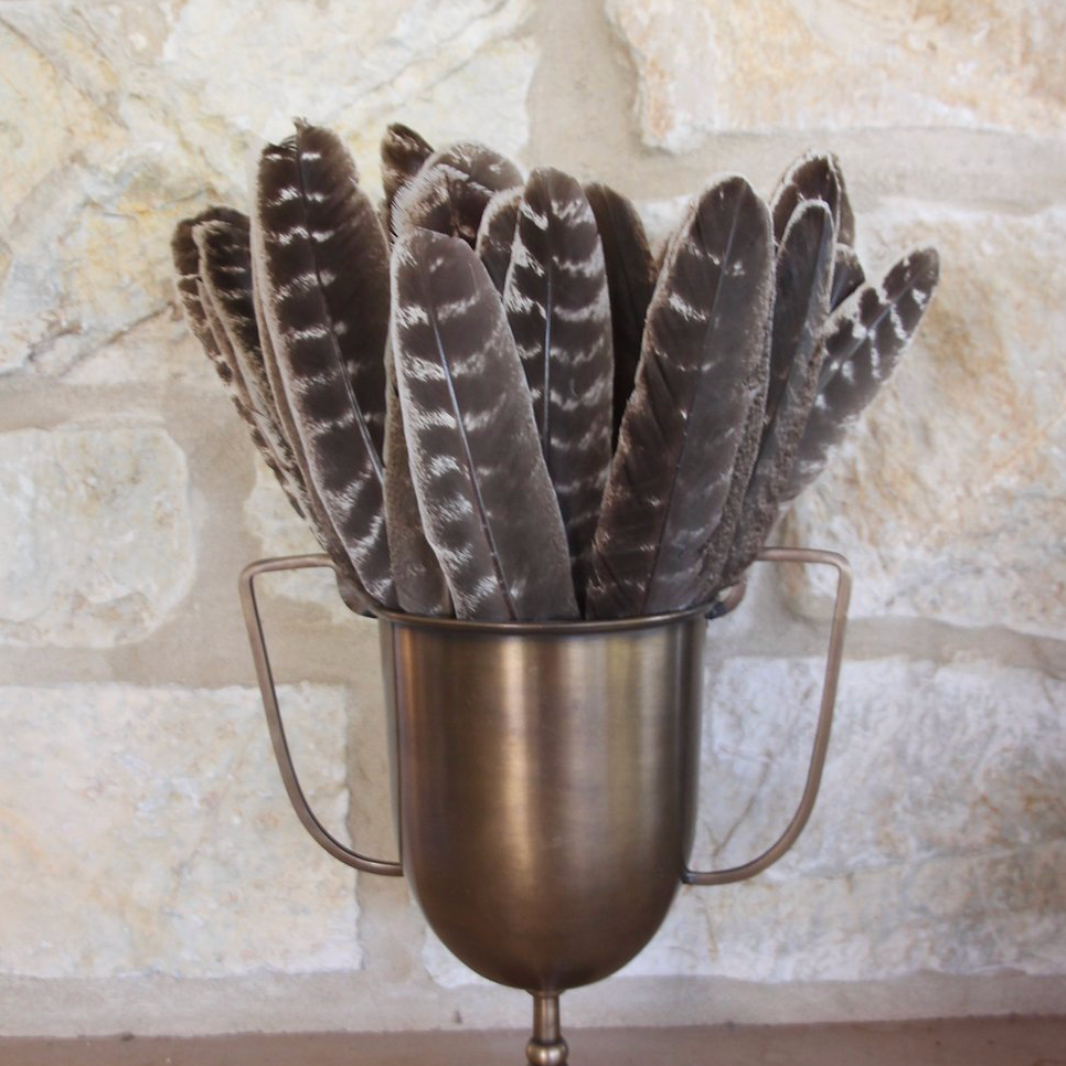 Barred Turkey Feather